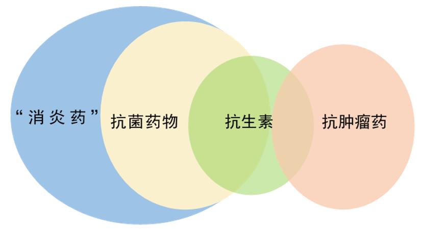 中国药科大学网站_中国计量大学就业质量_中国药科大学就业网