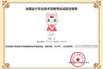 中级审计师用有计算机吗_中级审计师有用吗_中级审计师有什么作用