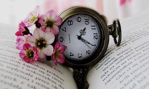 表示时间过得快的语句_表示时间过得快的语句_表示时间过得快的语句