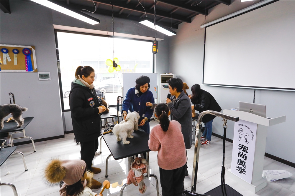 北京若雯宠物美容学校_宠物美容师学校北京_北京宠物美容学校培训价格表