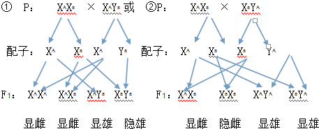 诺贝尔医学奖2023_诺贝尔医学奖_诺贝尔医学奖的历届得主