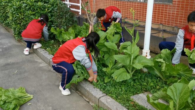 承德实验中学_承德实验中学官网_承德实验中学电话