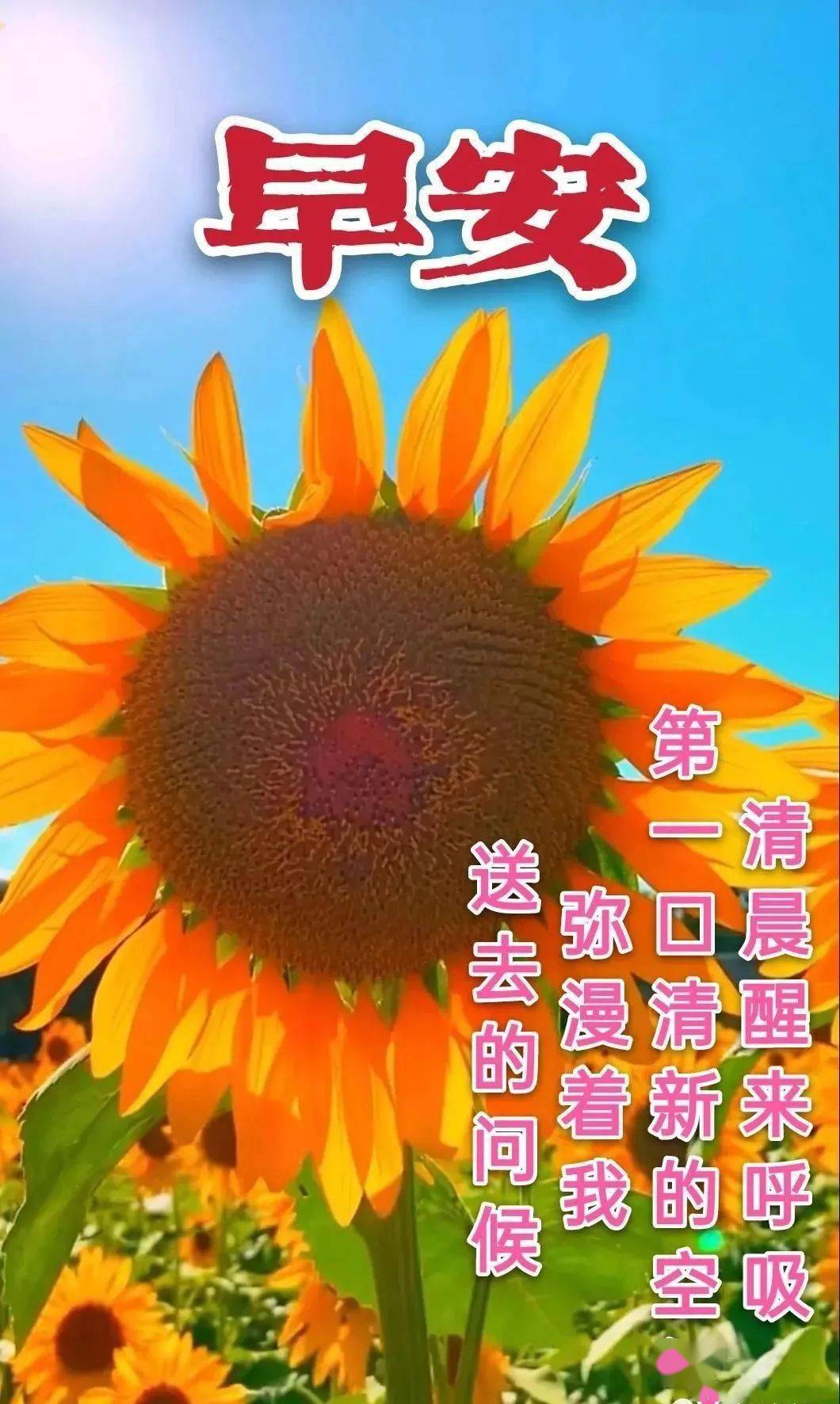 留言祝福朋友的句子_祝福朋友的留言_祝福朋友的留言板留言大全