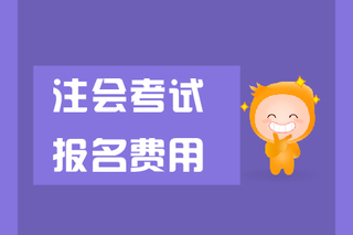 会计从业资格考试报名时间2024_2020年会计从业证报名时间_会计从业资格考试报名时间2024