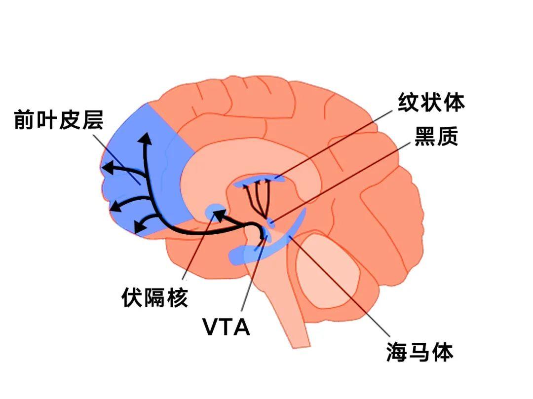 峰回路转造句_造句回路峰转的句子_峰回路转的短语结构