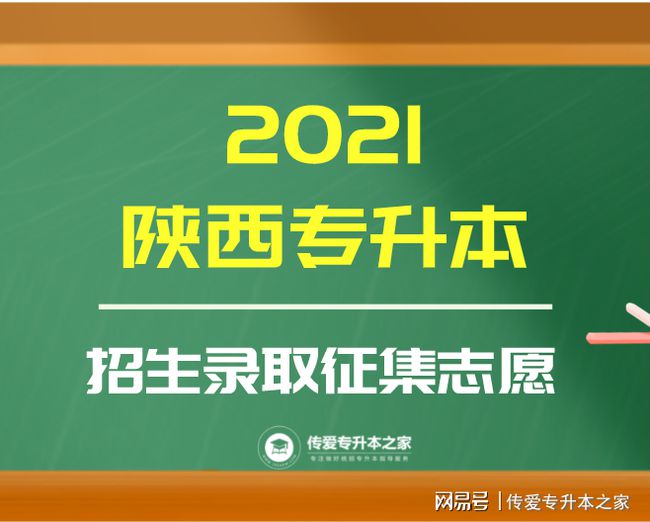 陕西考试招生网登录_陕西招生信息考试网_陕西考试招生院官网