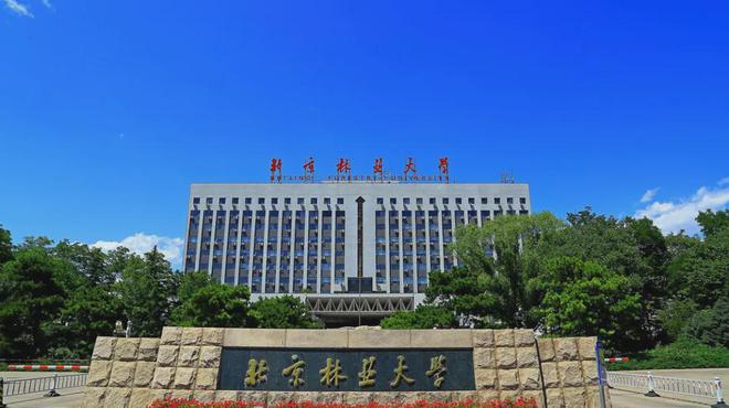 林业东北大学是一本吗_东北林业大学在哪_东北大学林业大学