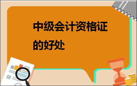 会计师考试资格_会计师资格证报考_会计师证书考试