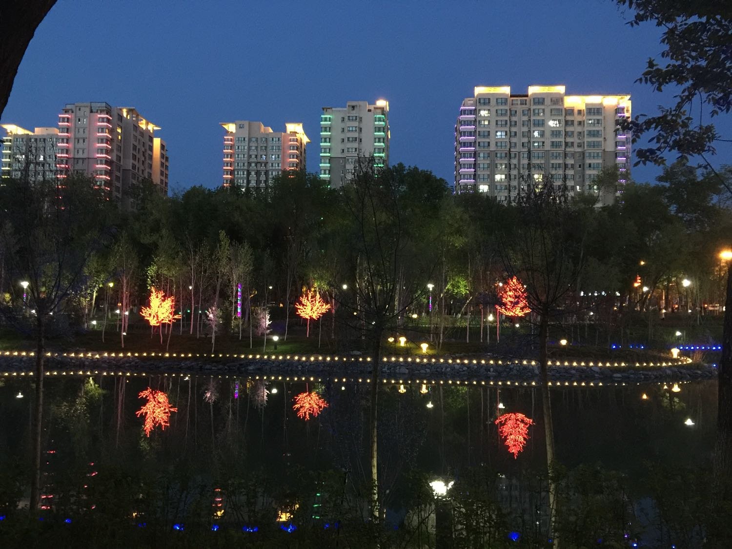 石河子大学在什么街道_石河子大学地址_石河子大学学校地址