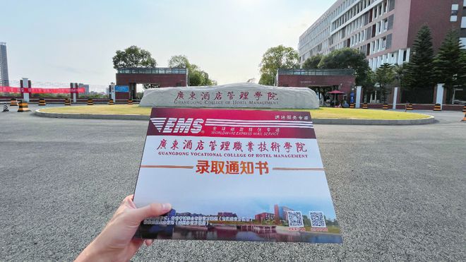 山东理工职业学院官网录取_山东理工职业学院录取查询_山东职业学院录取结果查询