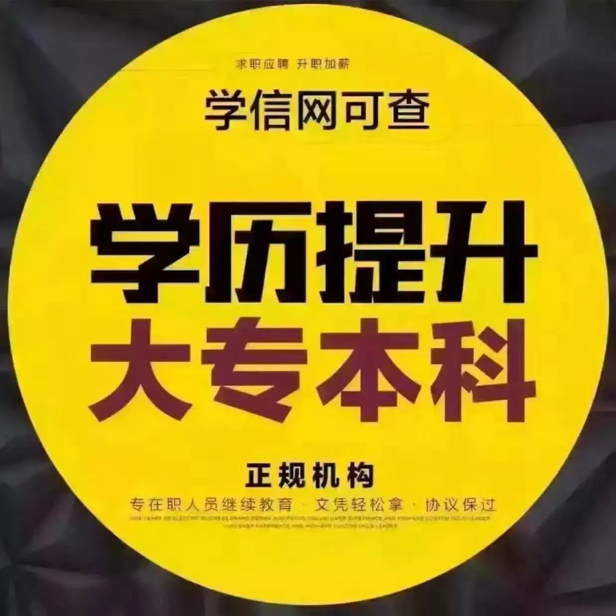 河南考研正式报名_2024年河南考研报名时间及要求_考研报名2021报名时间河南