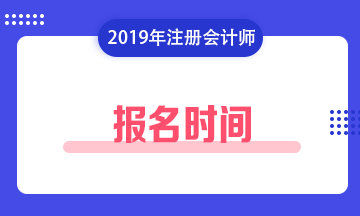 山东省注册会计师报名费_2024年山东注册会计师报名时间及要求_山东注册会计师报名条件