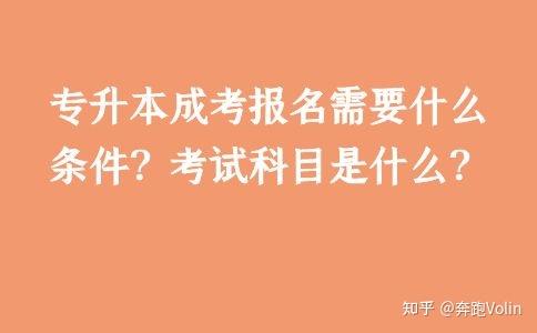 一建报名截止时间2020_一建报名时间2020年_2024年一建报名时间