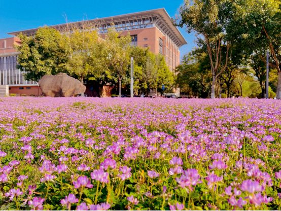 福建师范大学协和学院学费_福建师范大学协和学院收费标准_福建师范协和学院学费多少钱