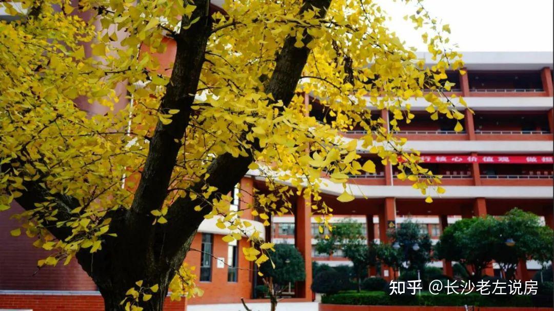 东钱湖镇中心小学招生_东钱湖中心小学_东钱湖中心小学电话号码