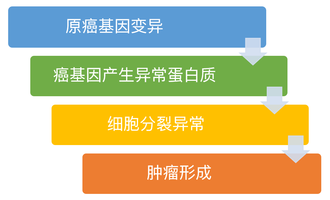 广东高校人才网_广东省高校人才招聘网最新招聘_广东高校人才网官网