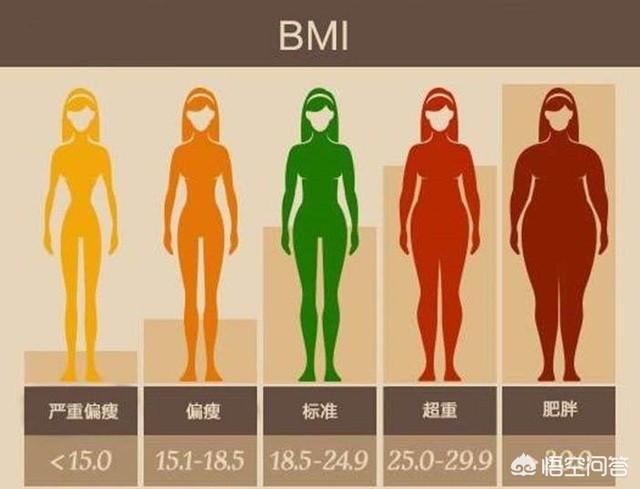 征兵大学生女生要求_女大学生征兵_征兵大学生女兵政策