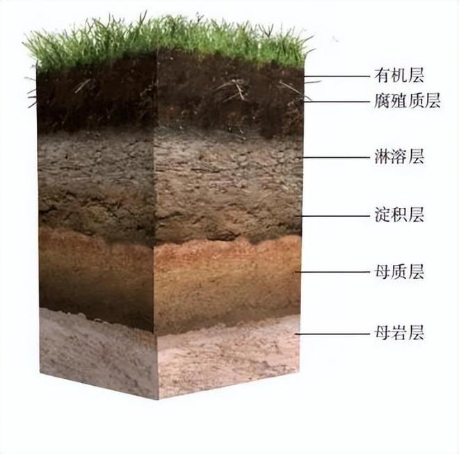 甘肃护资考试2021考试时间_甘肃省护资考试时间_2024年甘肃护师考试时间及科目