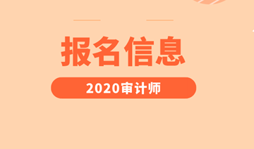 2024年青海注册会计师报考条件_青海省注册会计师报名_青海省注册会计师报名时间