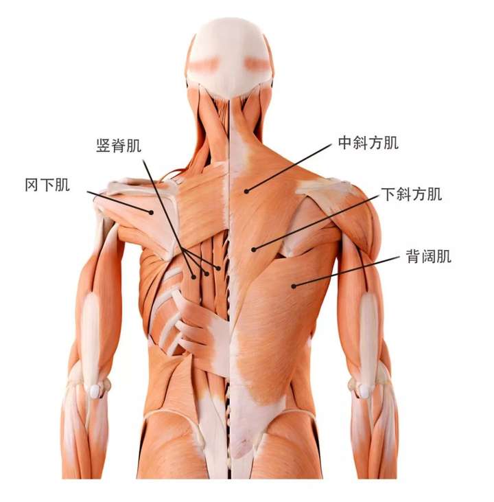 作用打比方的好处是什么_作用打比方和列数字写一句话_打比方的作用