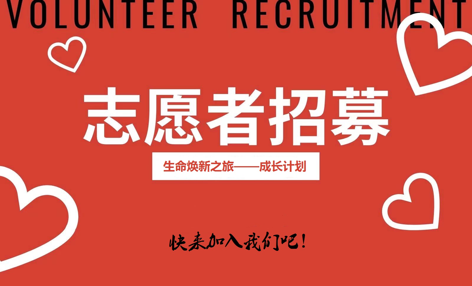 青海考试教育网成绩查询入口_青海考试教育网入口_青海教育考试网