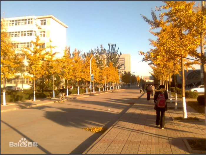 河北十大垃圾民办学院_河北最垃圾的民办大专_河北垃圾学校