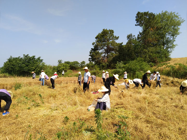 湖北生态学院_湖北生态学院分数线_湖北生态学院是本科还是专科