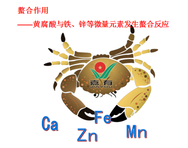 大肠杆菌是真核还是原核_大肠杆菌原核还是真核_大肠杆菌是什么核细胞