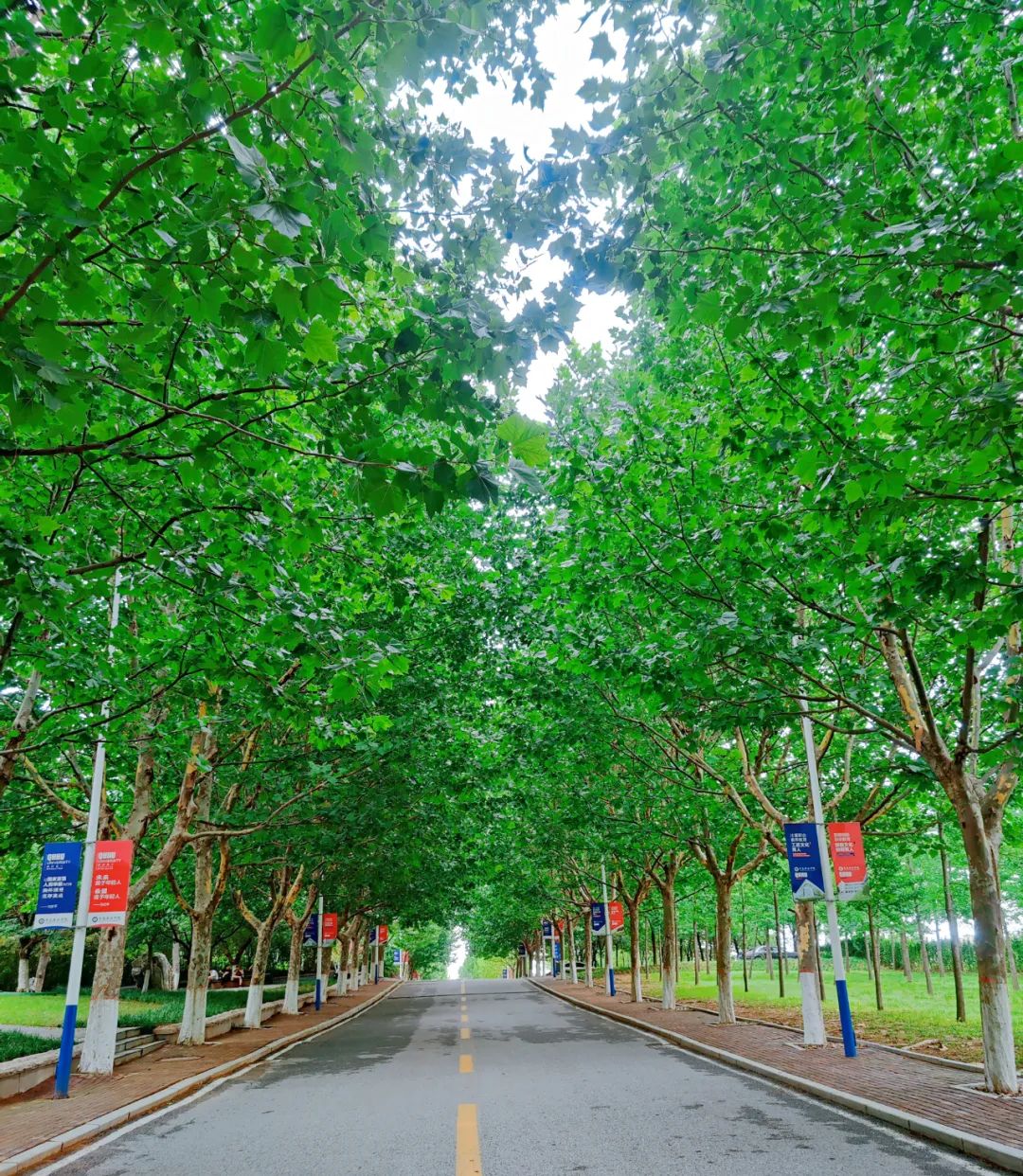 青岛黄海学院录取情况_青岛黄海学院最低录取分数线_青岛黄海学院分数线