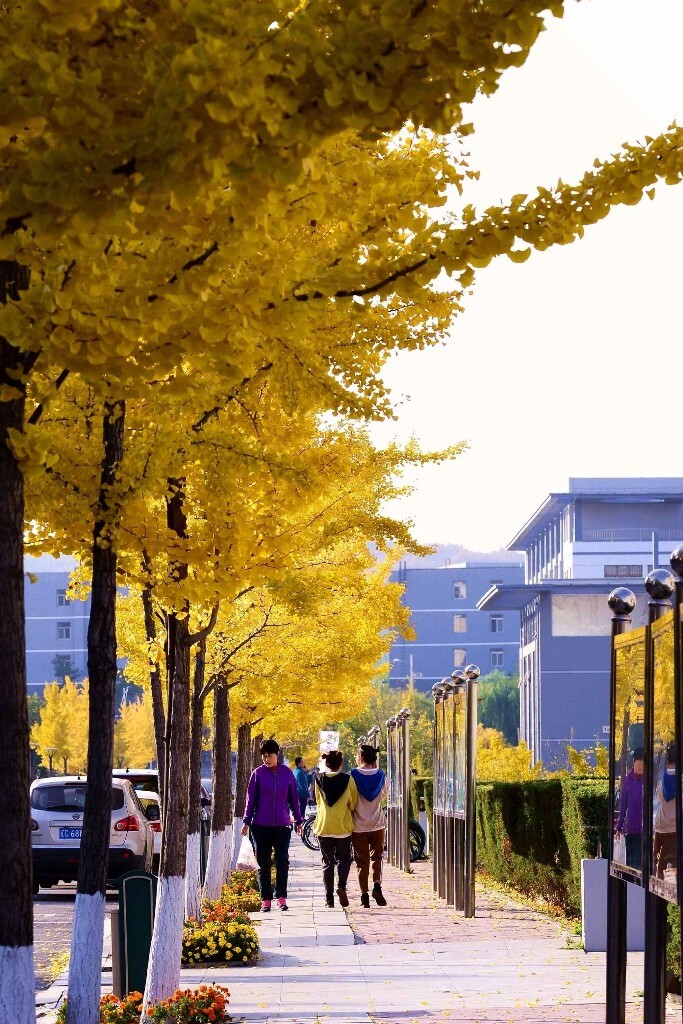 鞍山科技大学全国排名_鞍山科技大学原名_鞍山科技大学