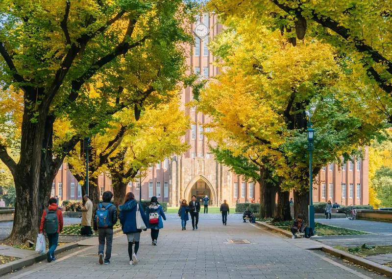 东北大学秦皇岛分校_秦皇岛分校东北大学官网_秦皇岛东北大学在秦皇岛哪个区