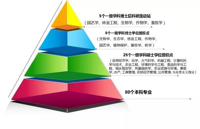 理学和工学区别_理学和工学的区别_理学和工学怎么区分