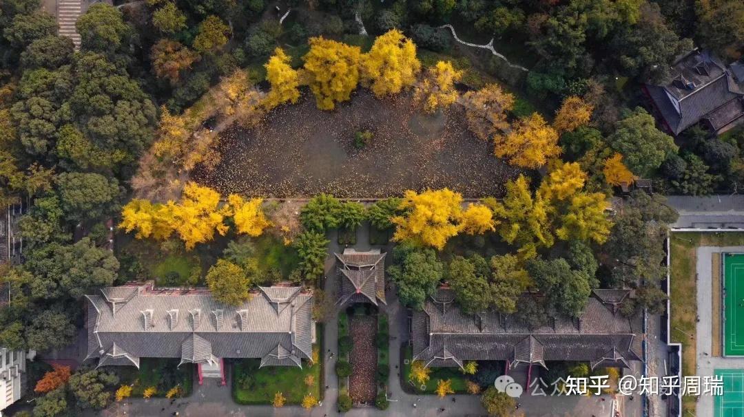 全国医科的大学排名_医科类全国排名_医科大学全国排名