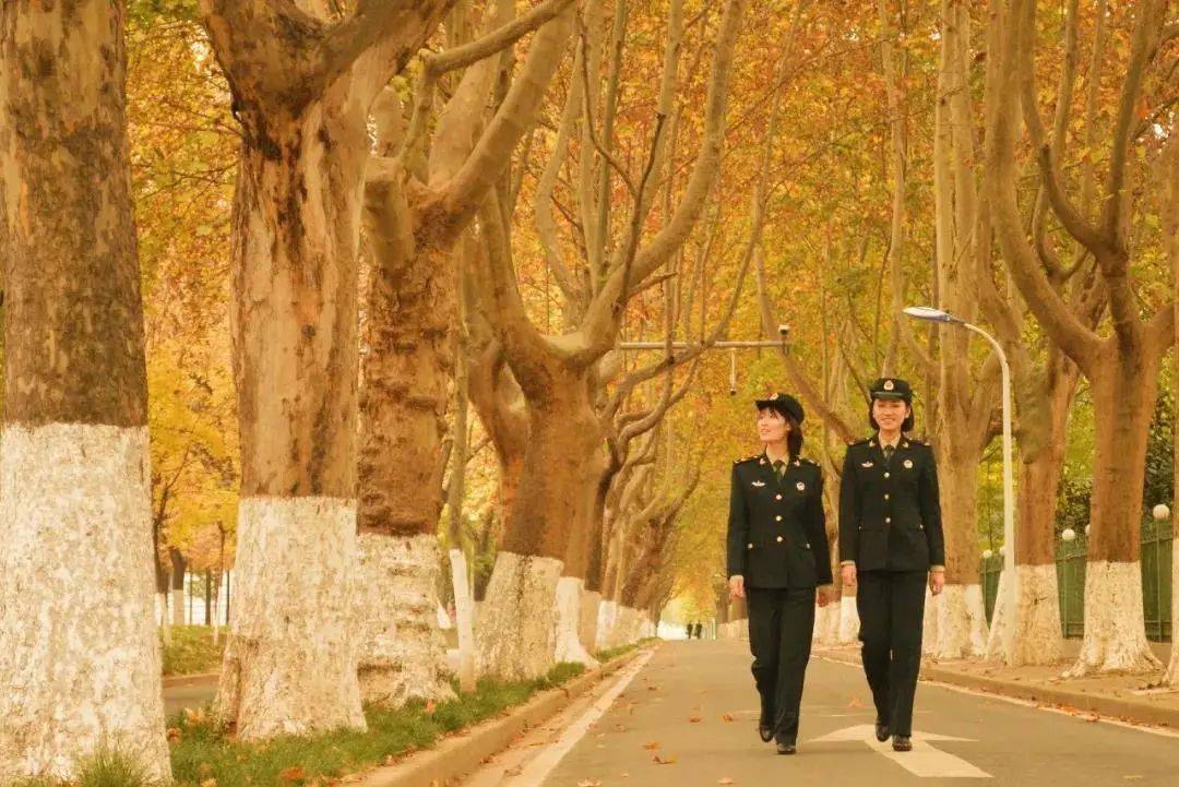 武警工程大学毕业干什么_武警工程大学毕业去向_去向武警毕业大学工程专业好吗