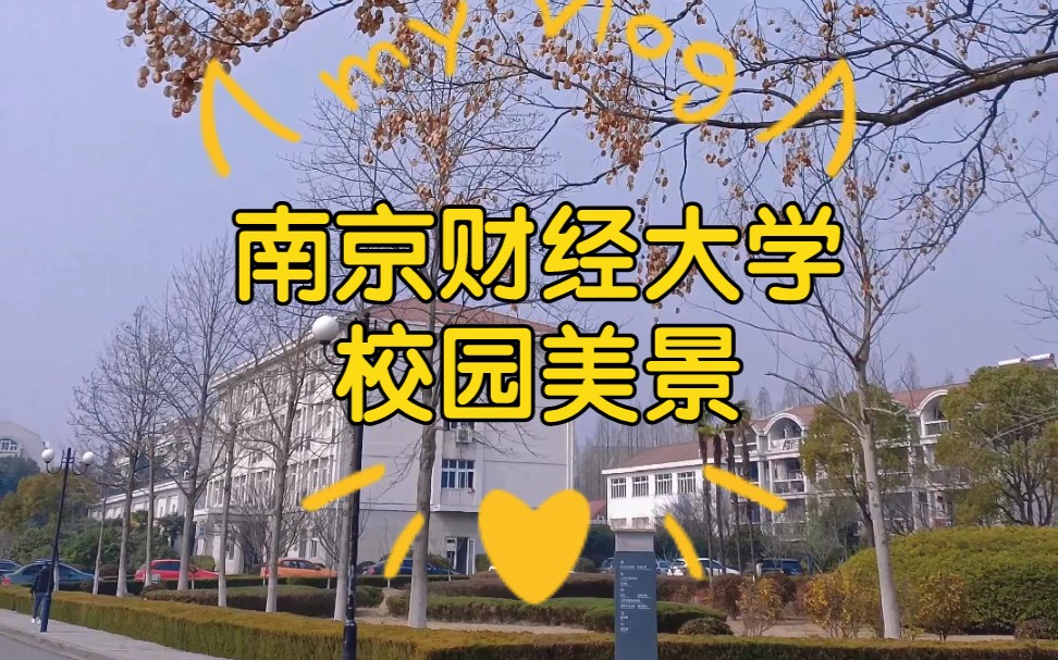 南京二本大学有哪些学校_南京二本大学有什么_南京二本大学学校有哪些