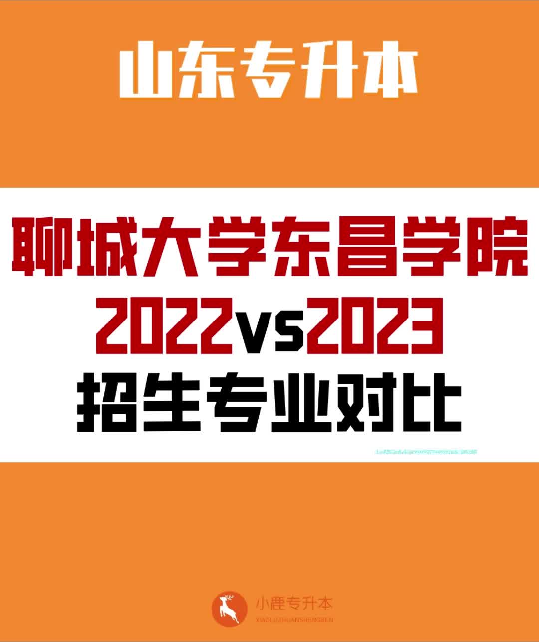 2021年聊城大学入取分数线_录取分数聊城线大学2024_聊城大学2024录取分数线