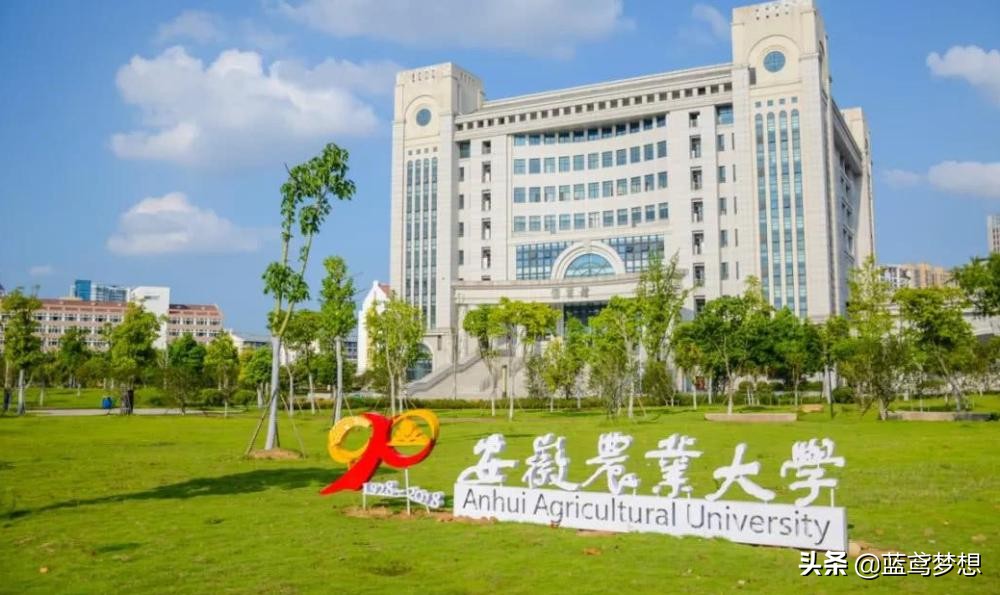 河南本省的大学排名_河南省三本院校排名_河南省内院校排名