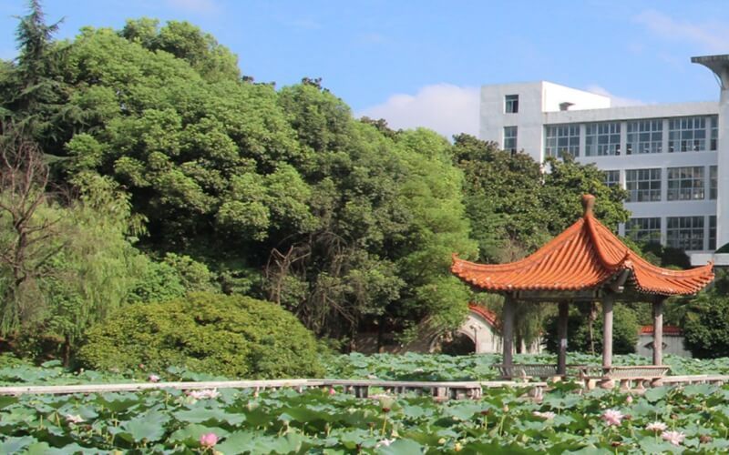 湖北老牌二本大学_湖北最棒的二本大学_湖北最烂二本大学