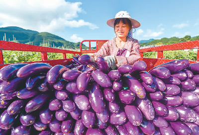 铜仁地区人事局_铜仁地区人事局_铜仁地区人事局