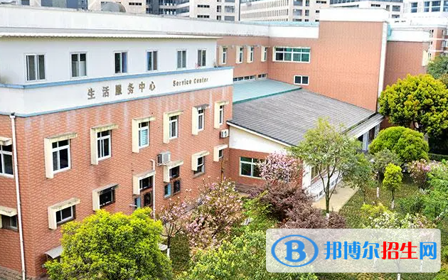 成都国际学校qsi_成都美式国际学校录取分数线_2023年成都美视国际学校录取分数线