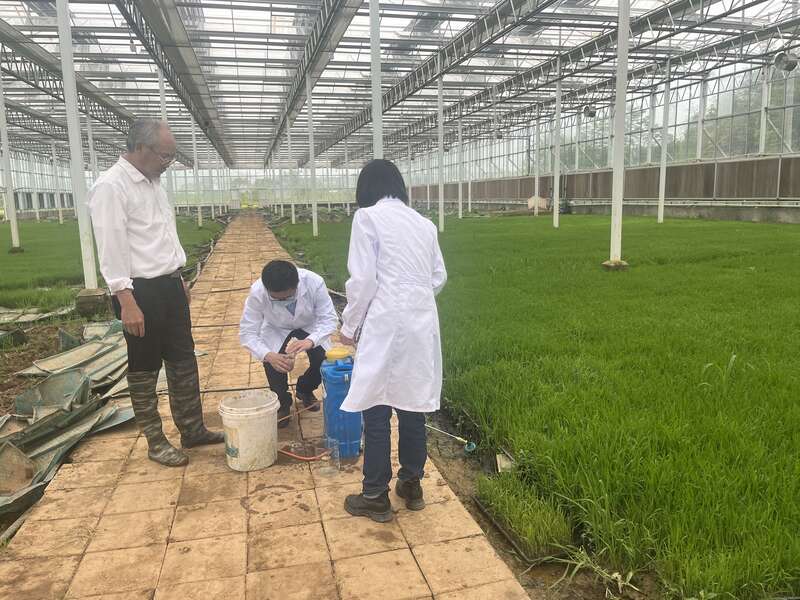 上海师范大学进修班_上海师范大学辅修_上海师范大学进修学院介绍