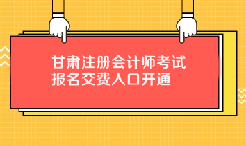 2021年注册会计师报名资格_2020年注册会计师报名_2024年注册会计师报名