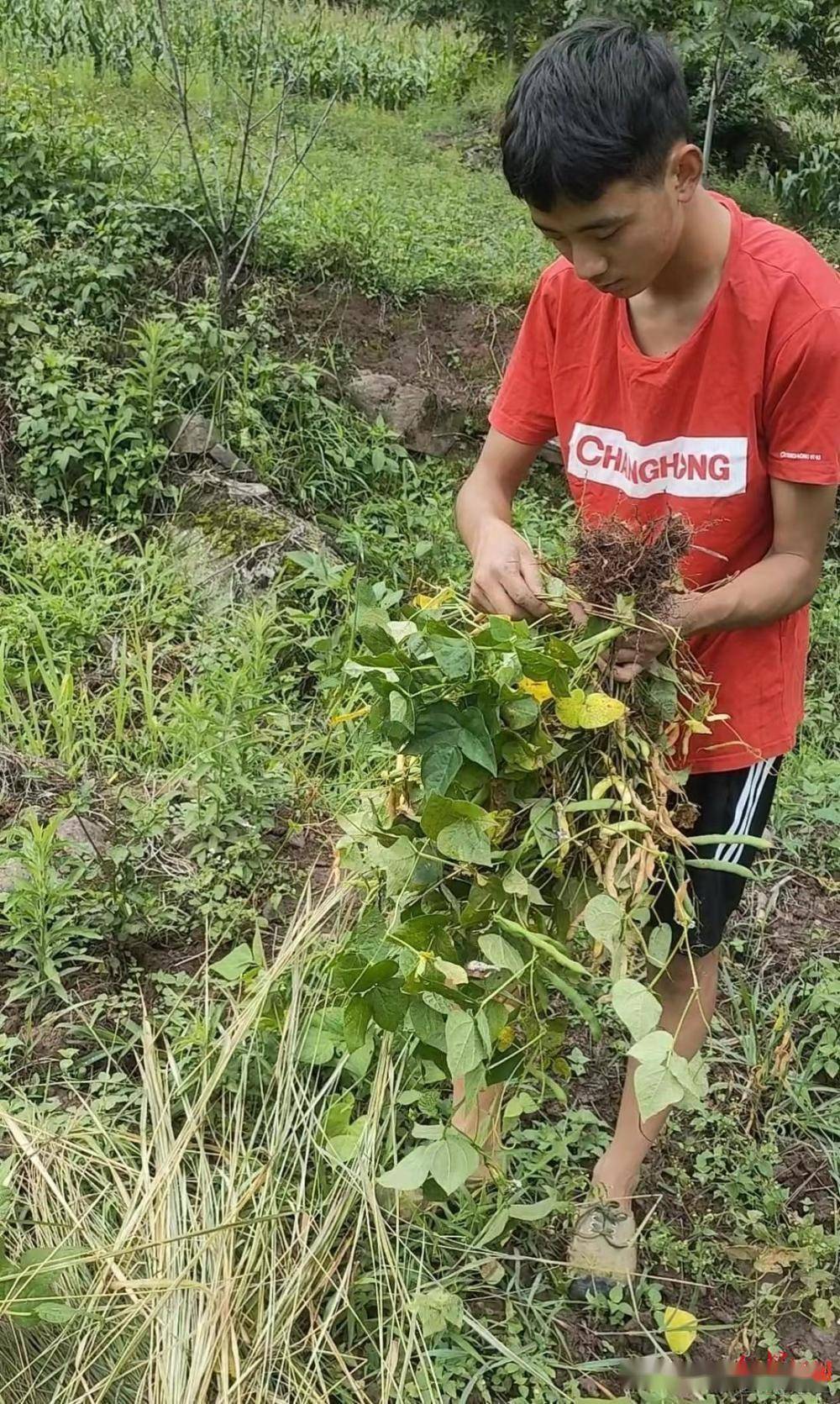 沈阳市外事服务学校_沈阳外事服务学校联系电话_沈阳外事学校电话