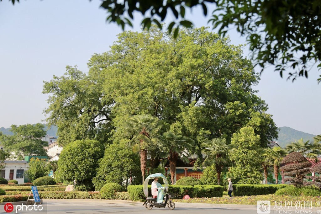 毛坦厂中学复读_复读学校毛坦厂_毛坦厂中学复读要多少钱