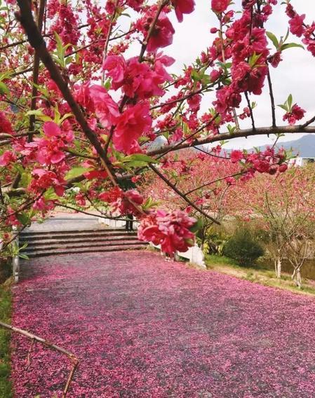 师范院校排名_河南省师范院校排名_六大教育部直属师范院校排名