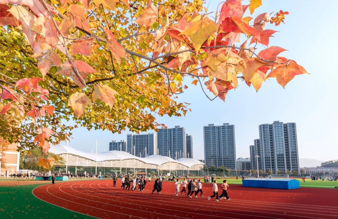 丽水学院门户_丽水学院全名_丽水学院怎么样