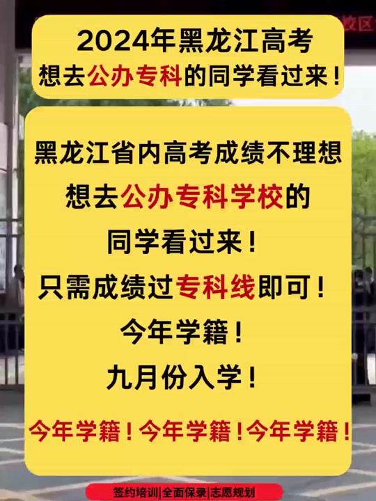 2024年500分的一本大学_今年大学本科多少分_大学本科分数线是多少分