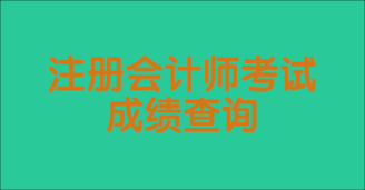 2024年教育部考试中心成绩查询_教育部考试成绩_教育部考试中心成绩证明