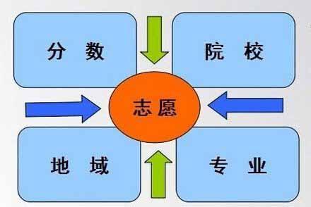 高考志愿查询_志愿高考查询入口官网_高考查询志愿网址