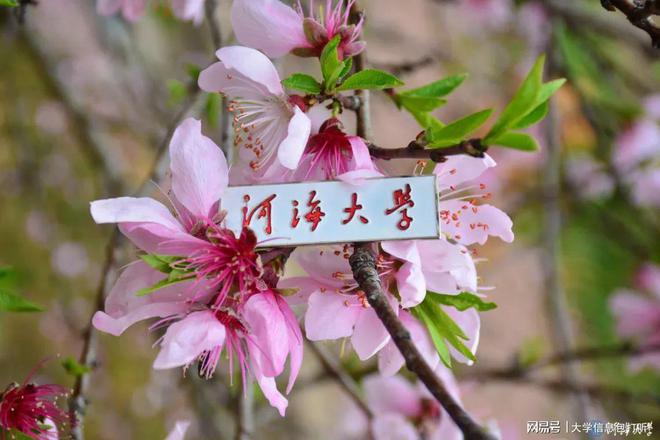 河海的王牌专业_河海大学四大王牌专业_河海大学皇牌专业